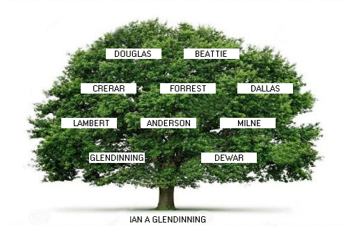 Descendancy Tree